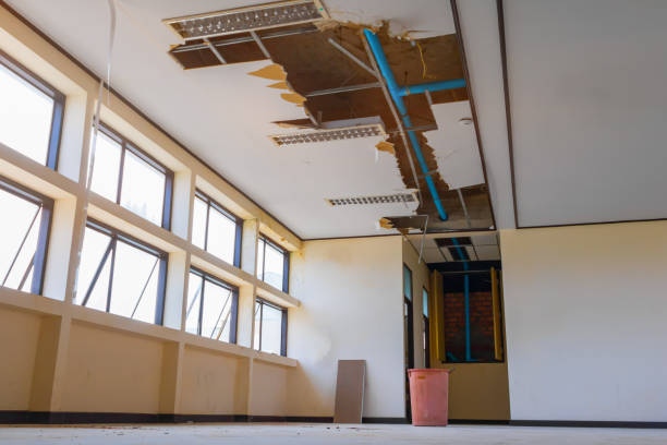 Best 24-hour water damage restoration  in Erwin, NC