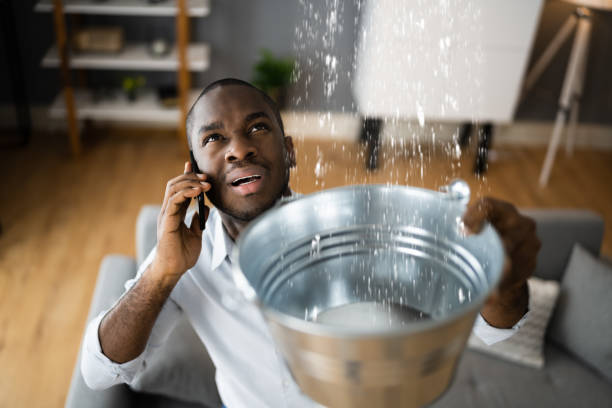 Best Professional water damage repair  in Erwin, NC