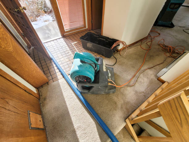 Best Water damage restoration experts  in Erwin, NC