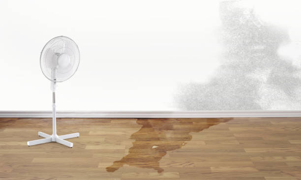 Best Residential water damage restoration  in Erwin, NC
