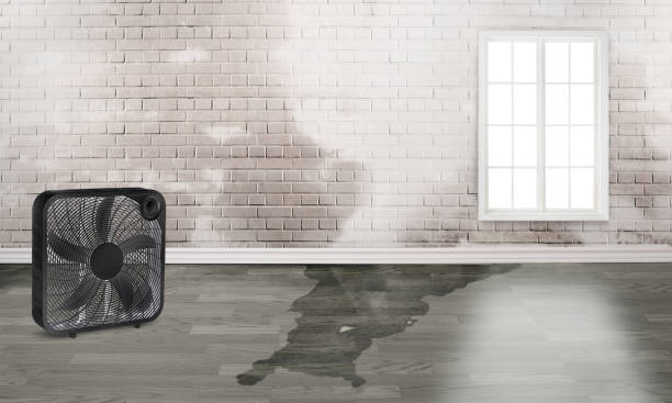 Best Commercial water damage restoration  in Erwin, NC
