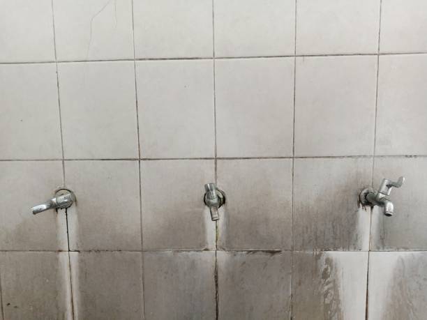 Best Water damage restoration near me  in Erwin, NC