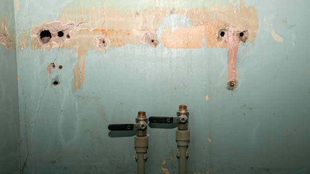  Erwin, NC Water damage restoration Pros