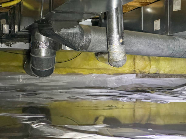 Best Carpet water damage restoration  in Erwin, NC
