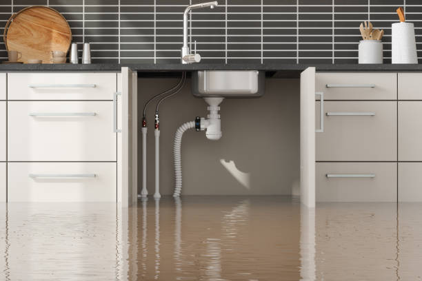 Best Water damage restoration near me  in Erwin, NC