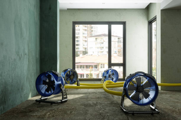 Best Ceiling water damage repair  in Erwin, NC